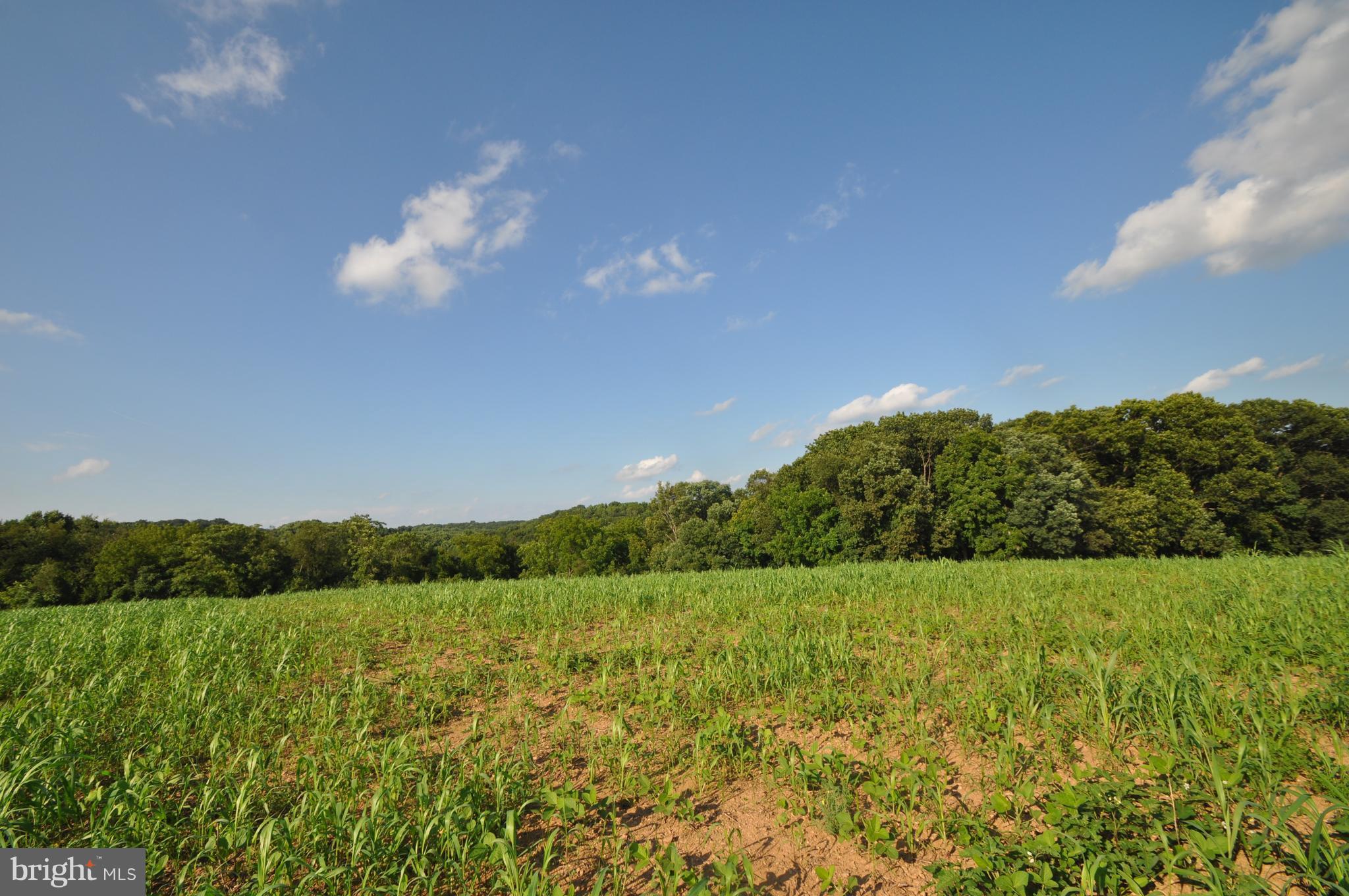 231 North Tannery Road Westminster, MD 21157 - Photo 9 of 23 HARD TO BELEIVE 5 MINUTES TO TOWN.