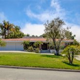 a garden with palm trees