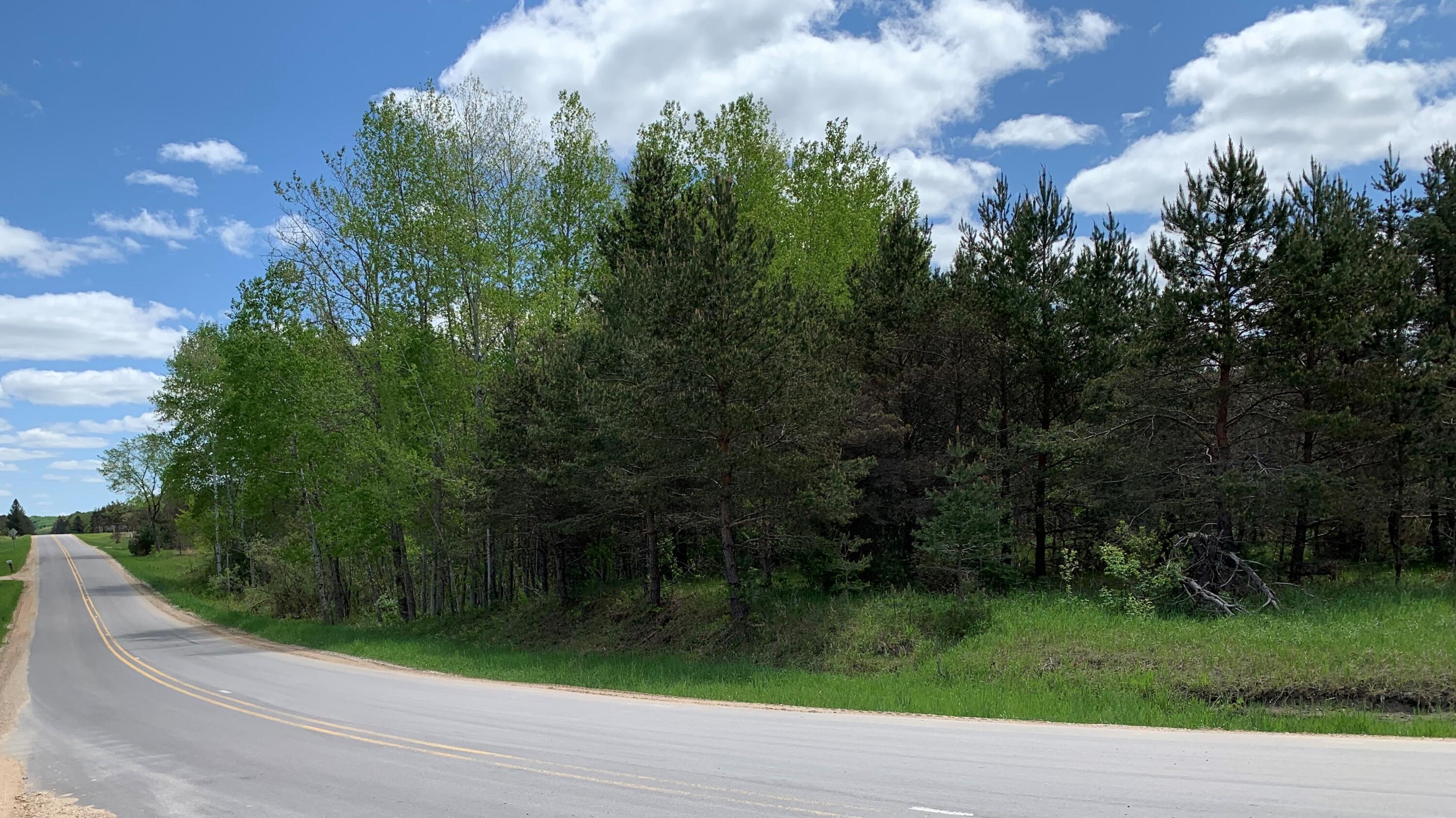 20 East Rd Manton Mi 49633 Road Fife Lake, MI 49633 - Photo 4 of 8 Gallery Image 4