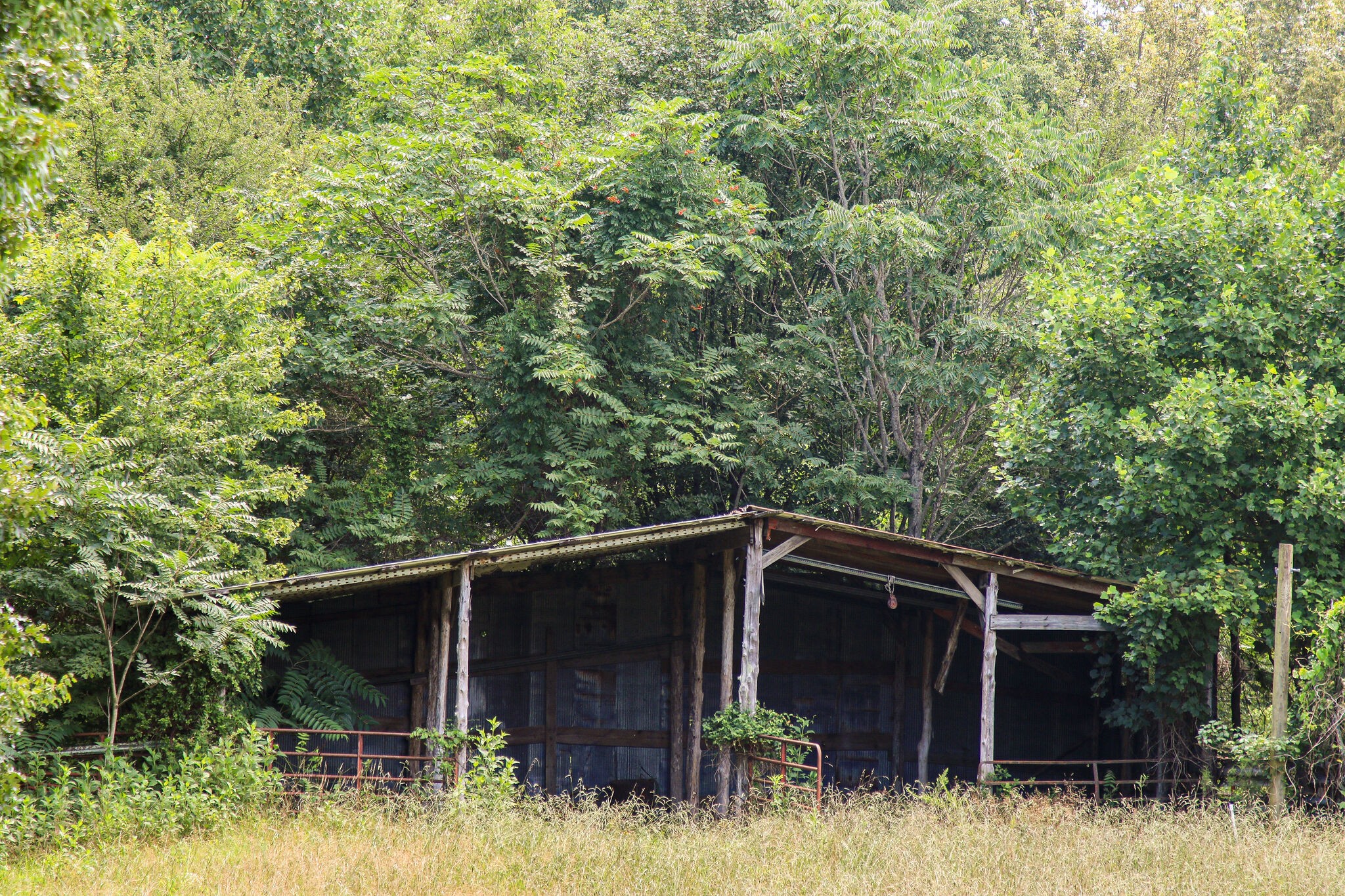 1849 Griffintown Road Sparta, TN 38583 - Photo 29 of 38 Gallery Image 29