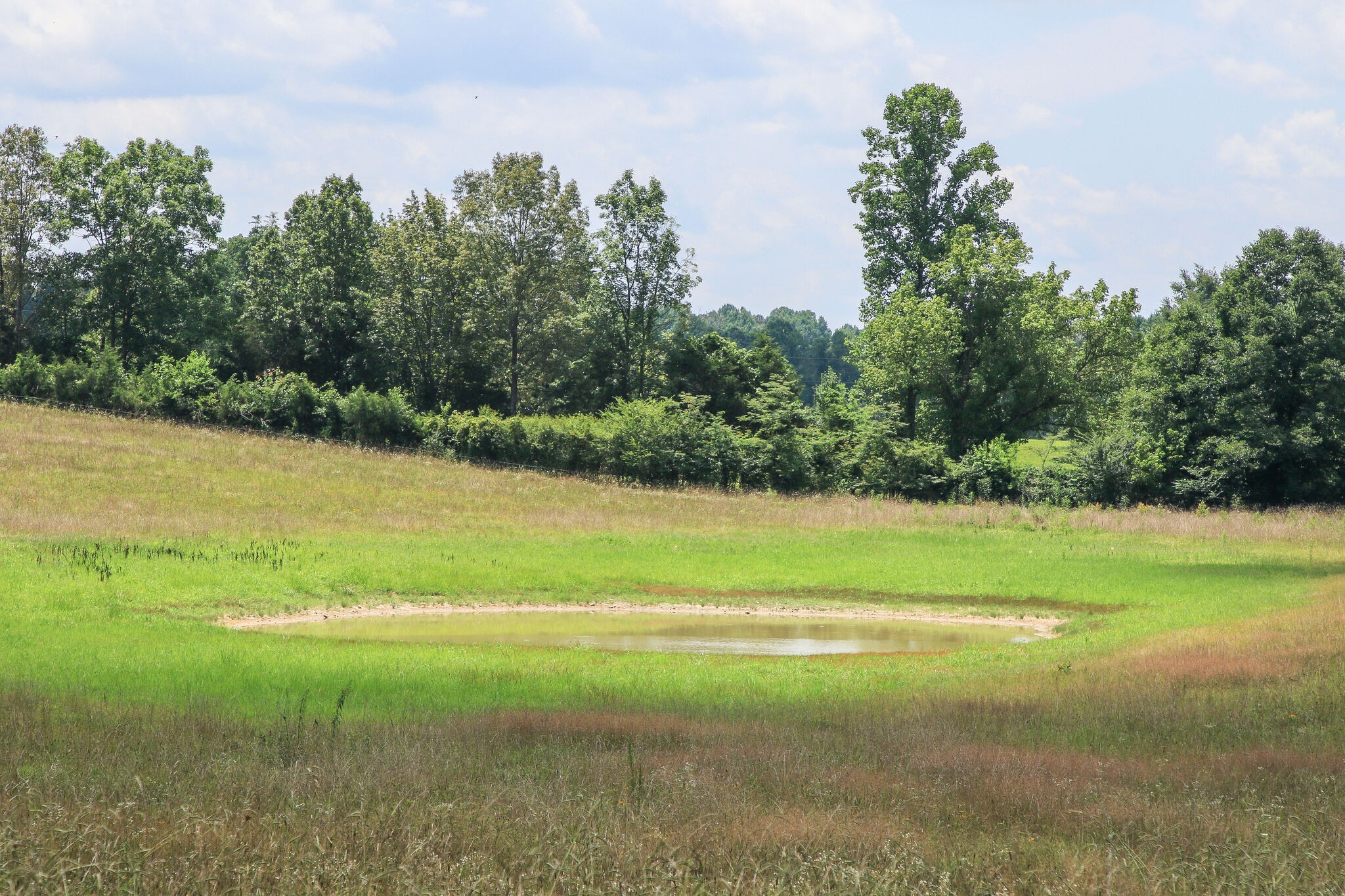 1849 Griffintown Road Sparta, TN 38583 - Photo 31 of 38 Gallery Image 31