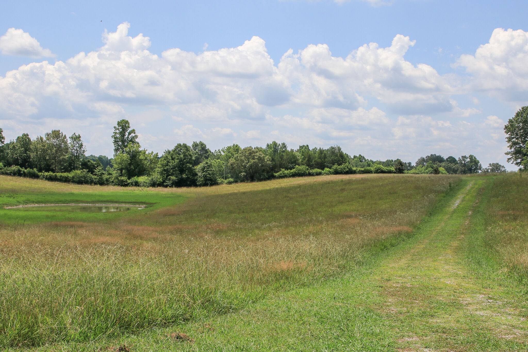 1849 Griffintown Road Sparta, TN 38583 - Photo 32 of 38 Gallery Image 32