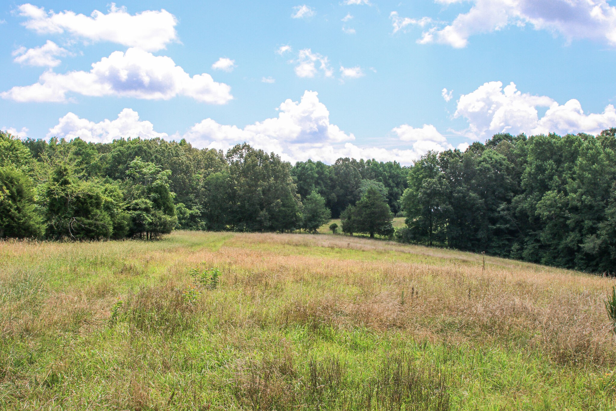 1849 Griffintown Road Sparta, TN 38583 - Photo 33 of 38 Gallery Image 33