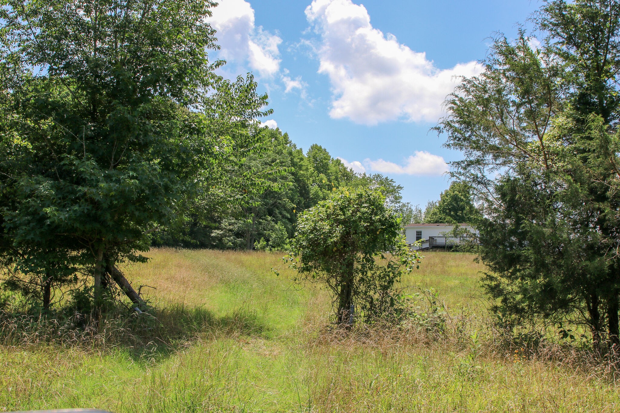 1849 Griffintown Road Sparta, TN 38583 - Photo 34 of 38 Gallery Image 34