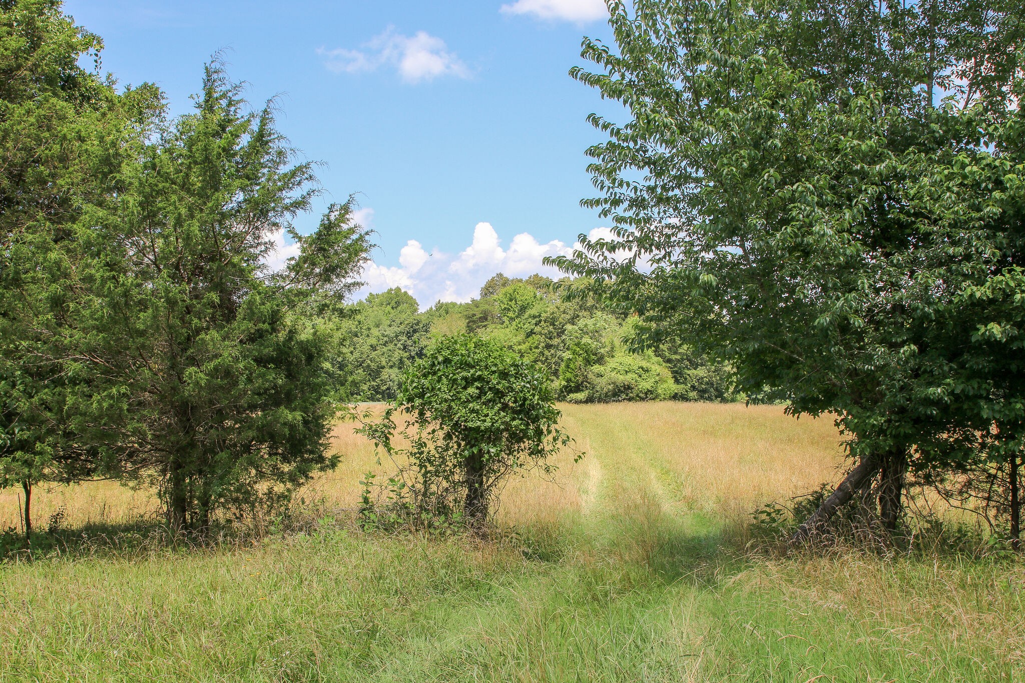 1849 Griffintown Road Sparta, TN 38583 - Photo 35 of 38 Gallery Image 35