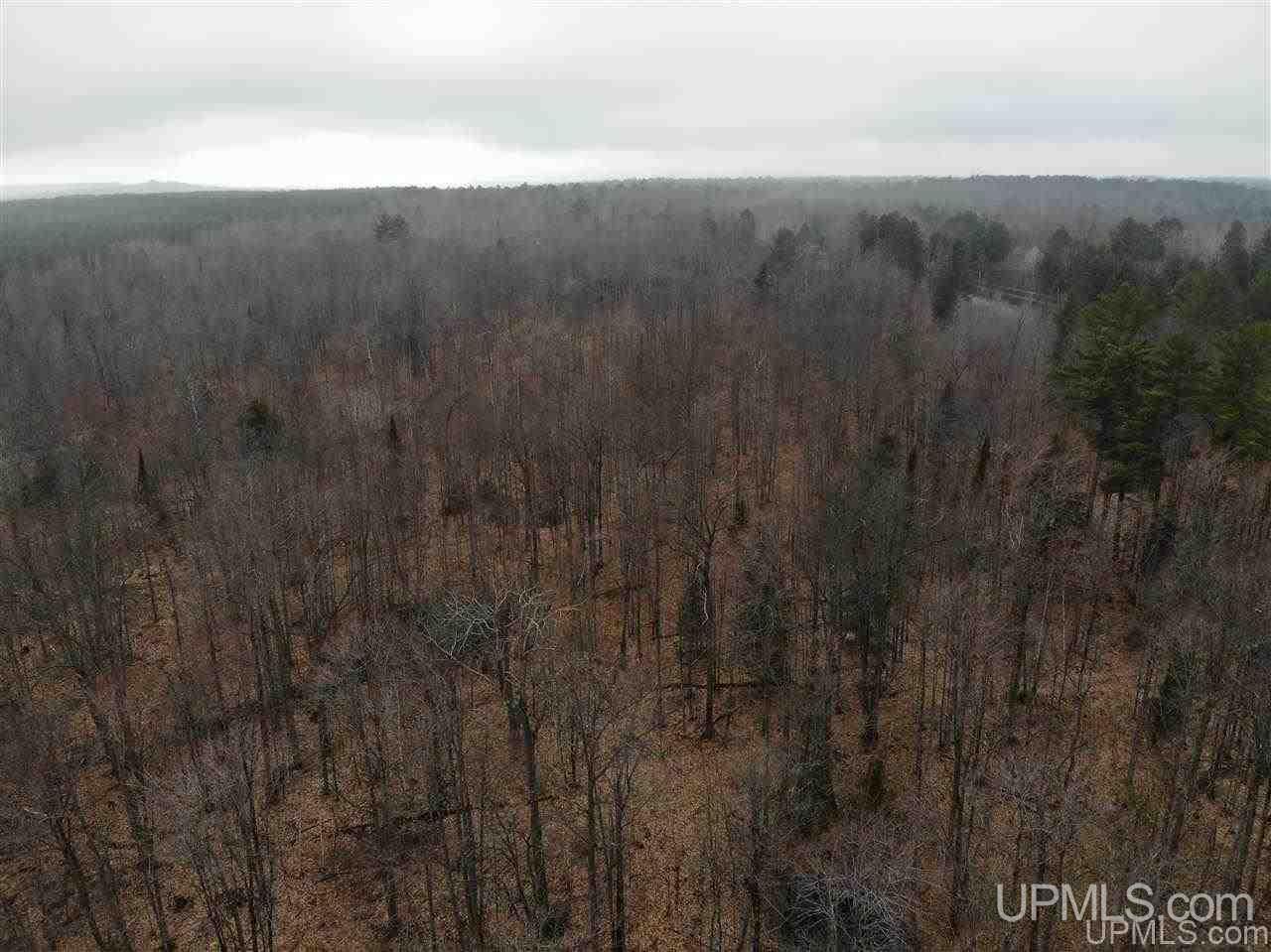 Tbd Plains Cutoff Road Baraga, MI 49908 - Photo 47 of 49