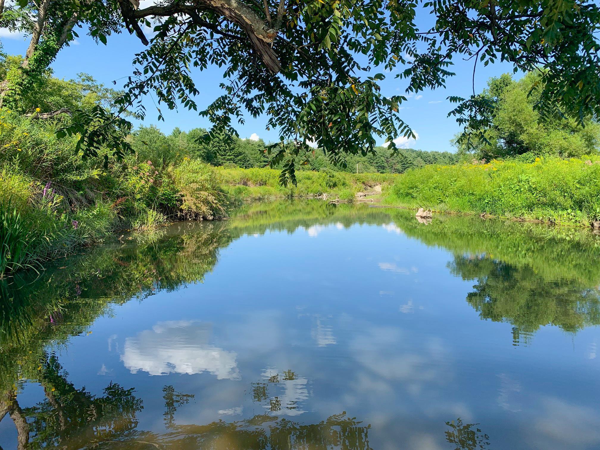 716 Swamp Road Fair Haven, VT 05743 - Photo 31 of 40