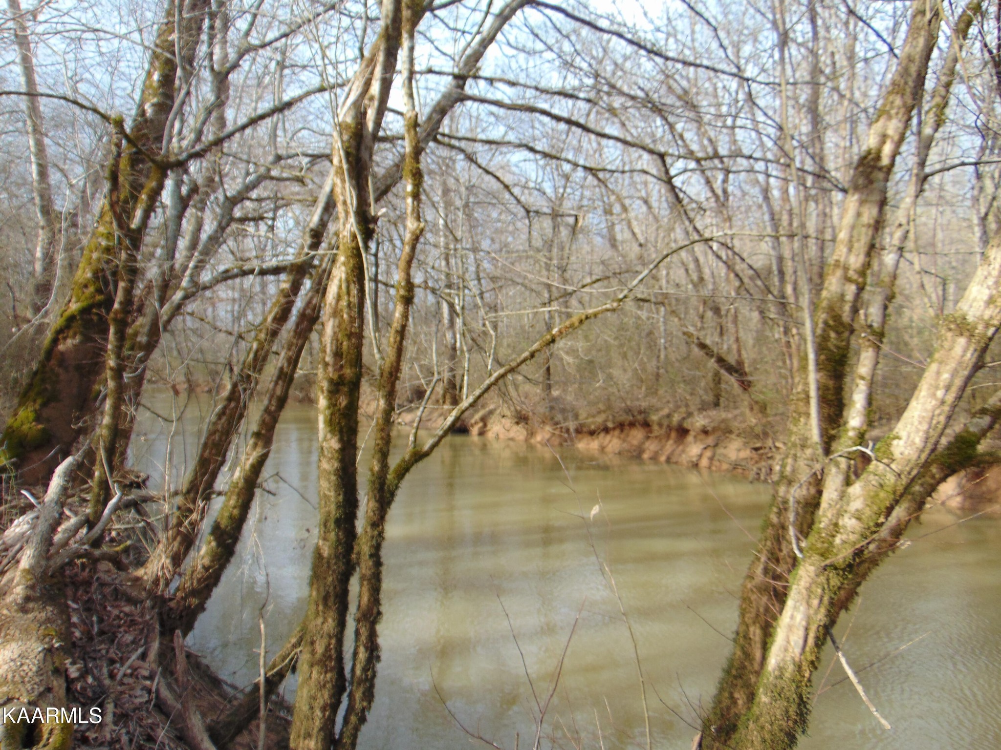 14 Athens Road Calhoun, TN 37309 - Photo 23 of 50 Gallery Image 23