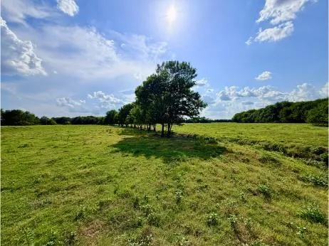 $749,900 | 2145 Cooper Tx 75432, Cooper, TX 75432