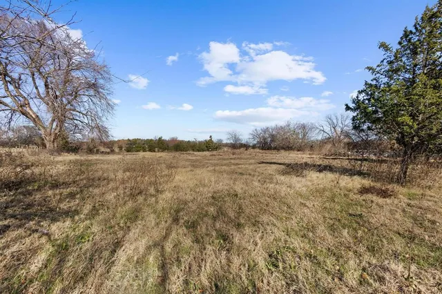 a view of yard with tree in it