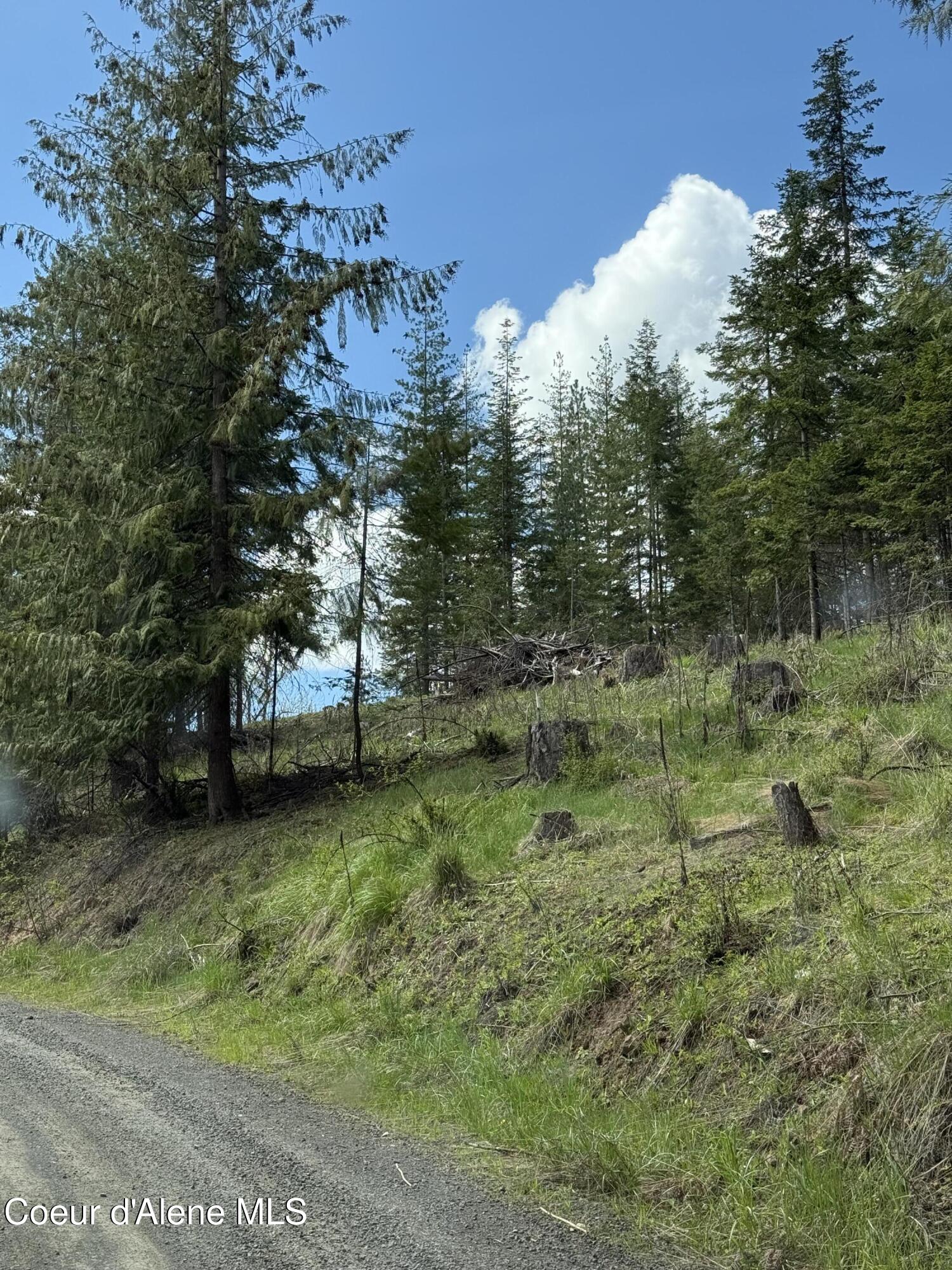 Nka St Maries River Road St. Maries, ID 83861 - Photo 4 of 6 IMG_4589