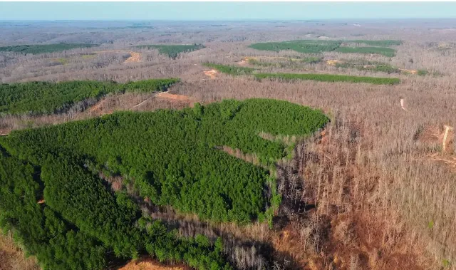 a view of a lake with a big yard