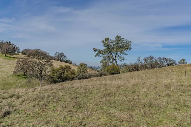 a view of a dry yard with trees