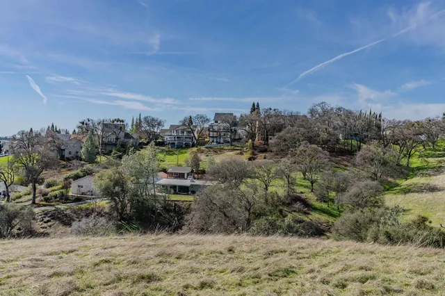 a view of a dry yard with trees