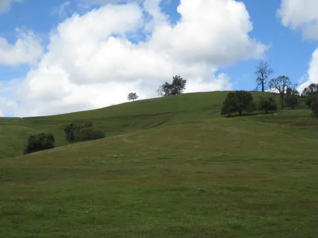 a view of an ocean and beach