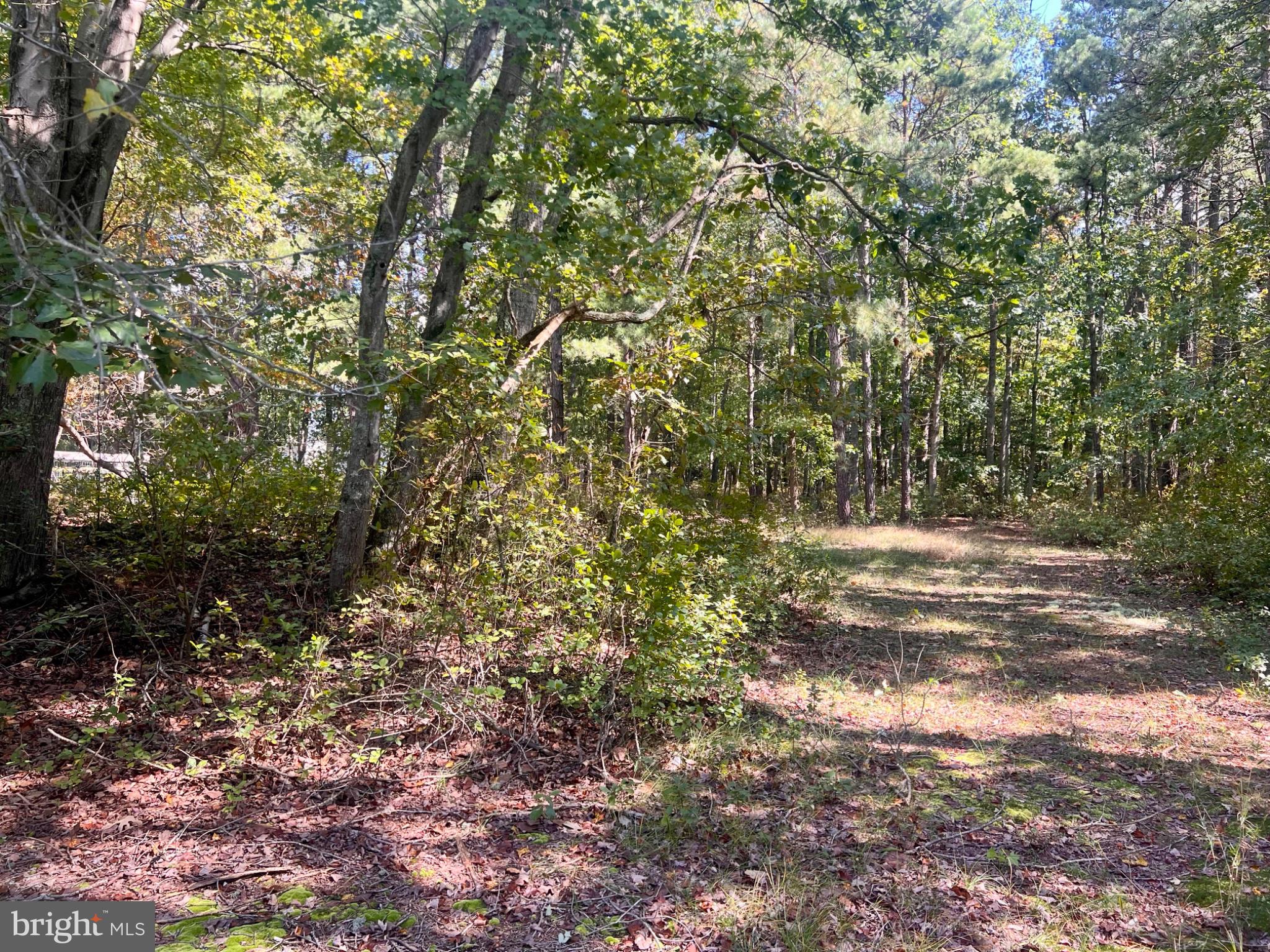 26 Cobbs Mill Road, Unit ALLOWAY Bridgeton, NJ 08302 - Photo 10 of 13 room to roam!