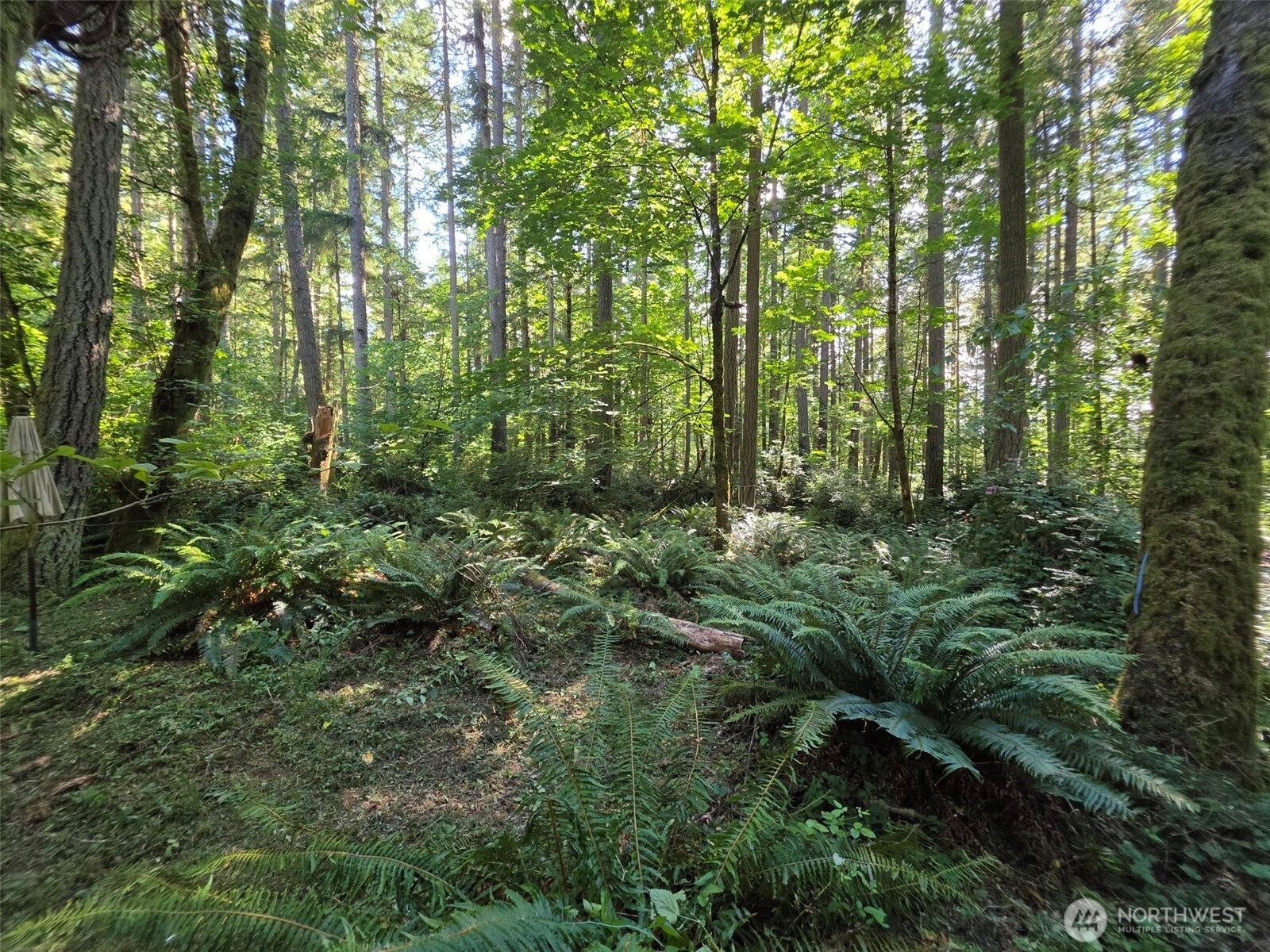 23601 Landers Road Southwest Vashon, WA 98070 - Photo 19 of 21 Gallery Image 19