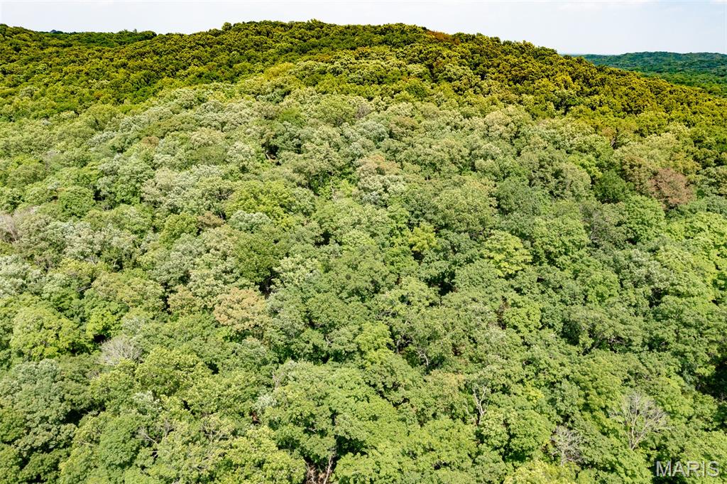 1500 Palisades Road Wildwood, MO 63021 - Photo 3 of 6