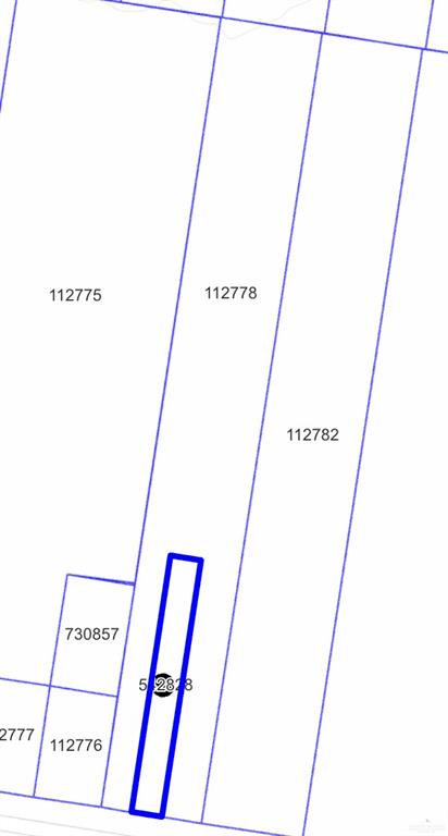 0 Sioux Road Alamo, TX 78516 - Photo 3 of 3