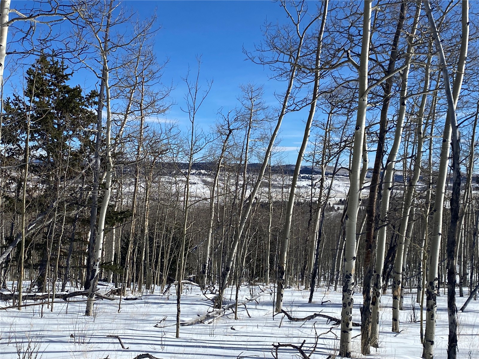 893 Lumberjack Road Fairplay, CO 80440 - Photo 20 of 34 Gallery Image 20