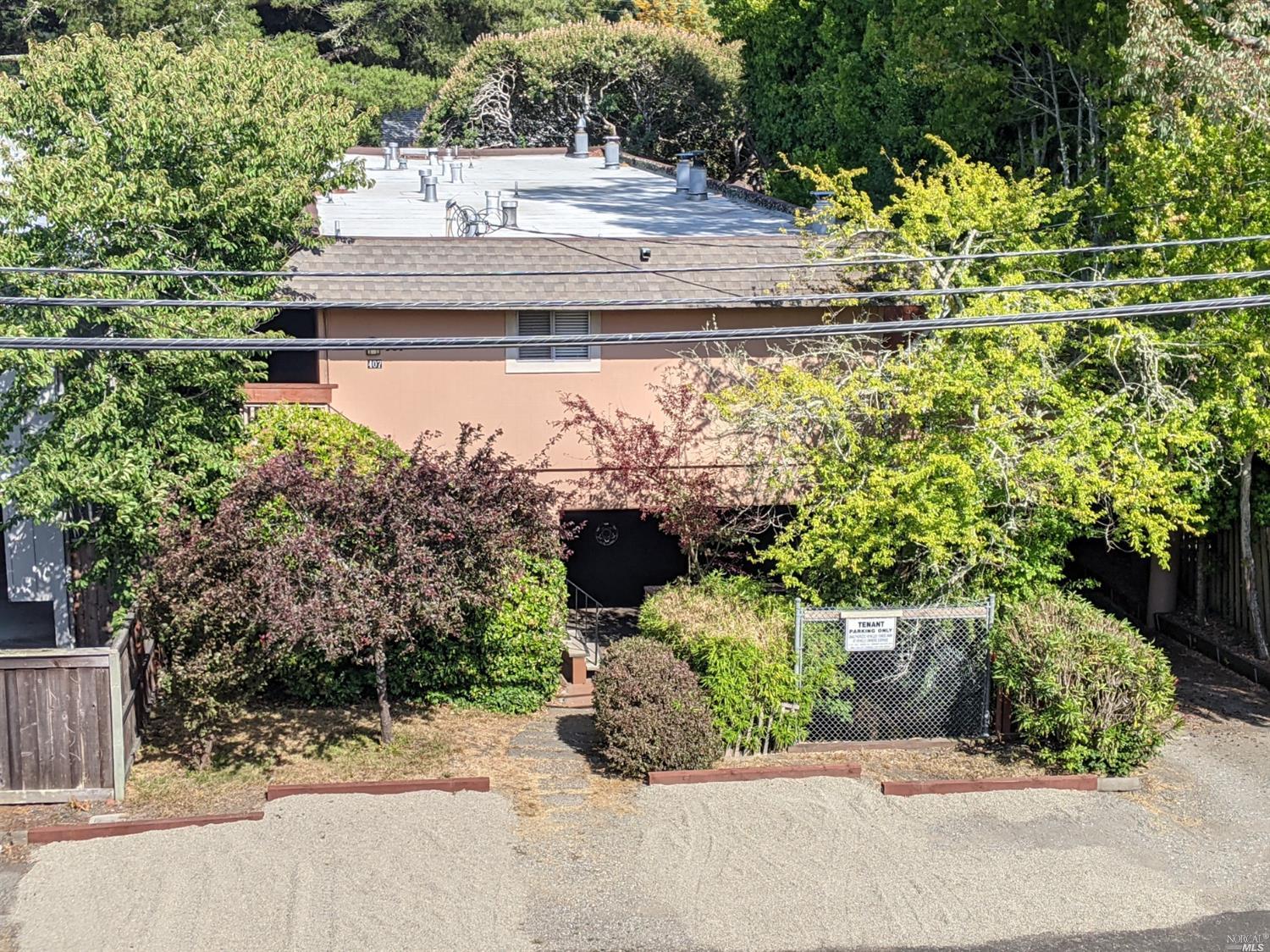 a view of a yard with potted plants