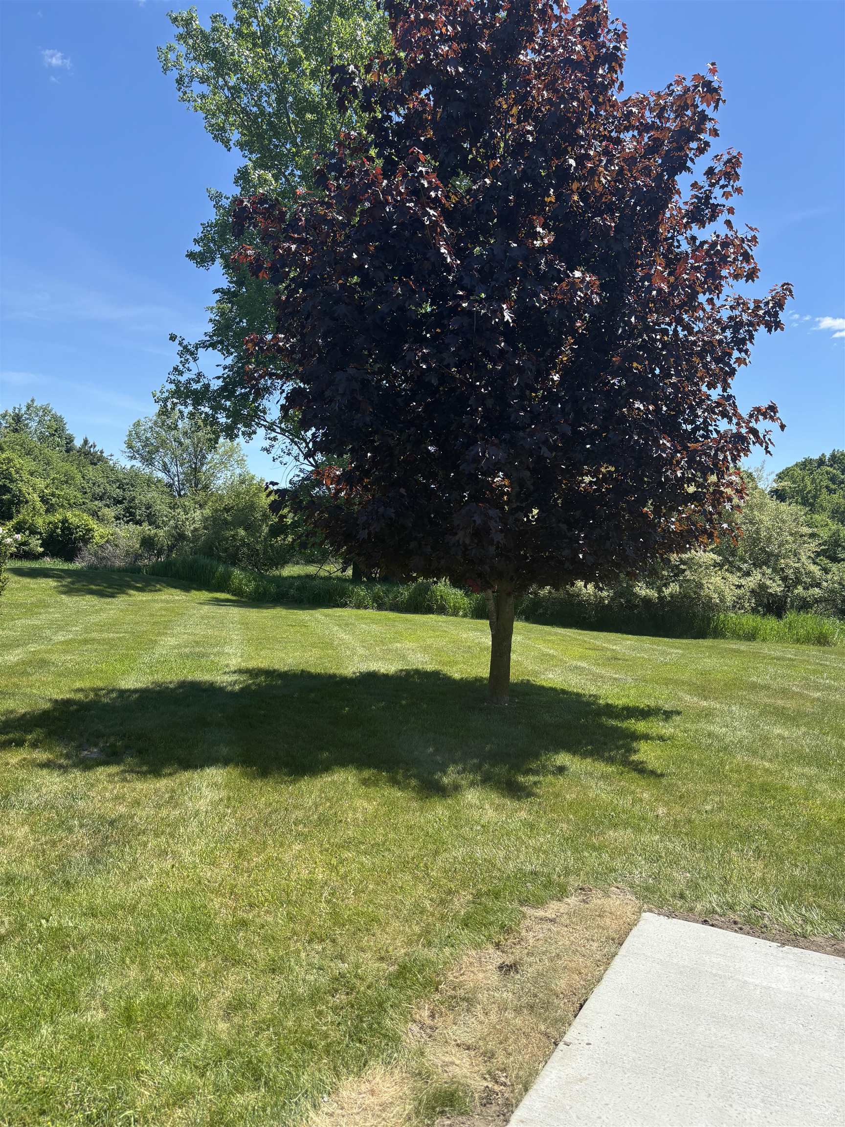 3092 East Deerfield Road Mount Pleasant, MI 48858 - Photo 31 of 32