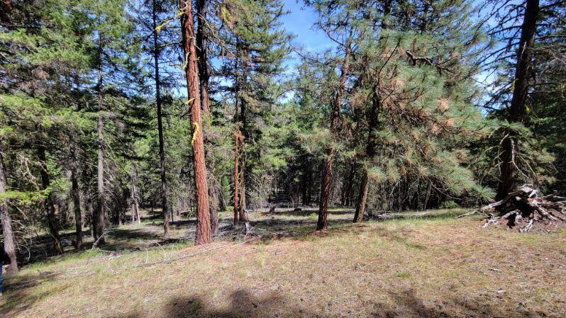 1315 Lofton Creek Road Prineville, OR 97754 - Photo 17 of 61 image000005 (7)