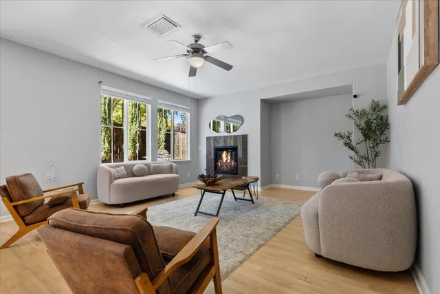 a living room with furniture and a potted plant