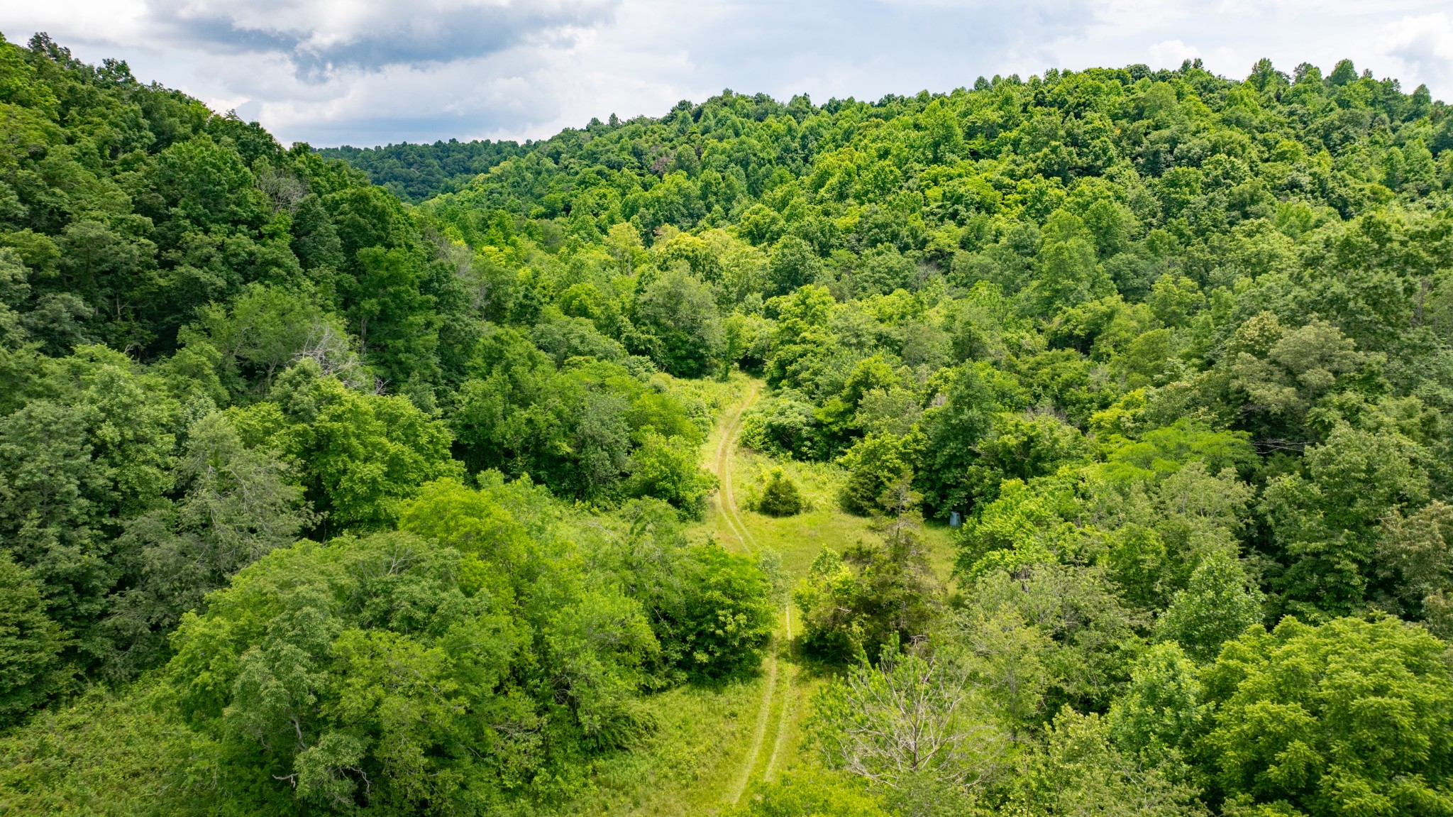 582 Cedar Bend Road Beechgrove, TN 37018 - Photo 27 of 32