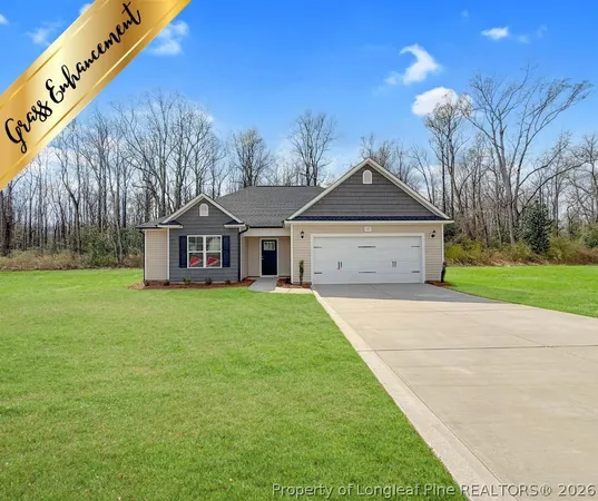 a front view of a house with yard