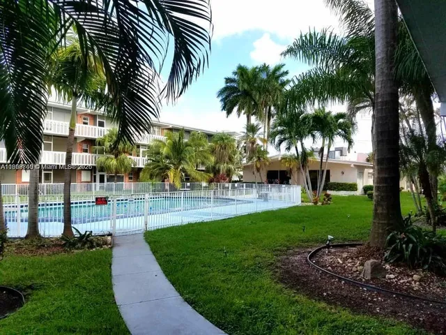a view of a park with a palm tree