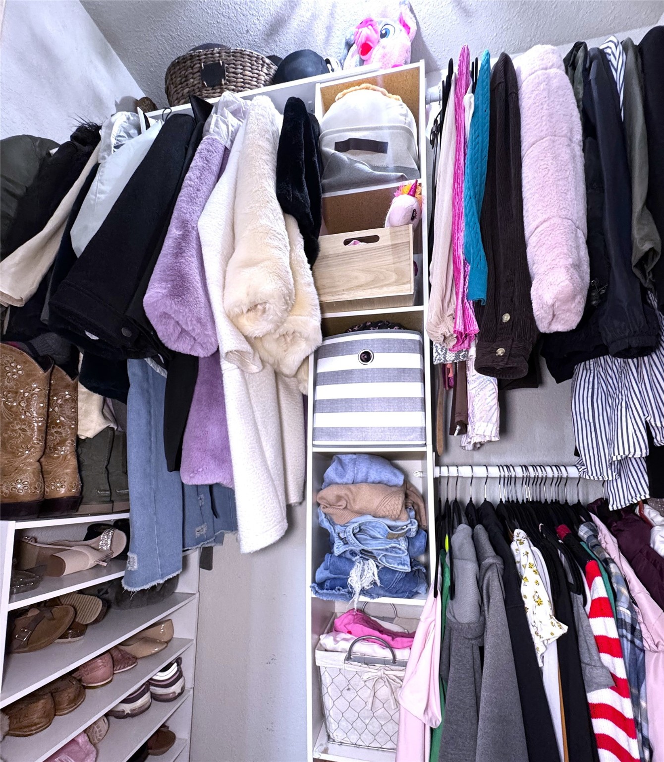 10110 Forum W Drive, Unit 421 Houston, TX 77036 - Photo 23 of 27 a view of walk in closet with clothes and shoes