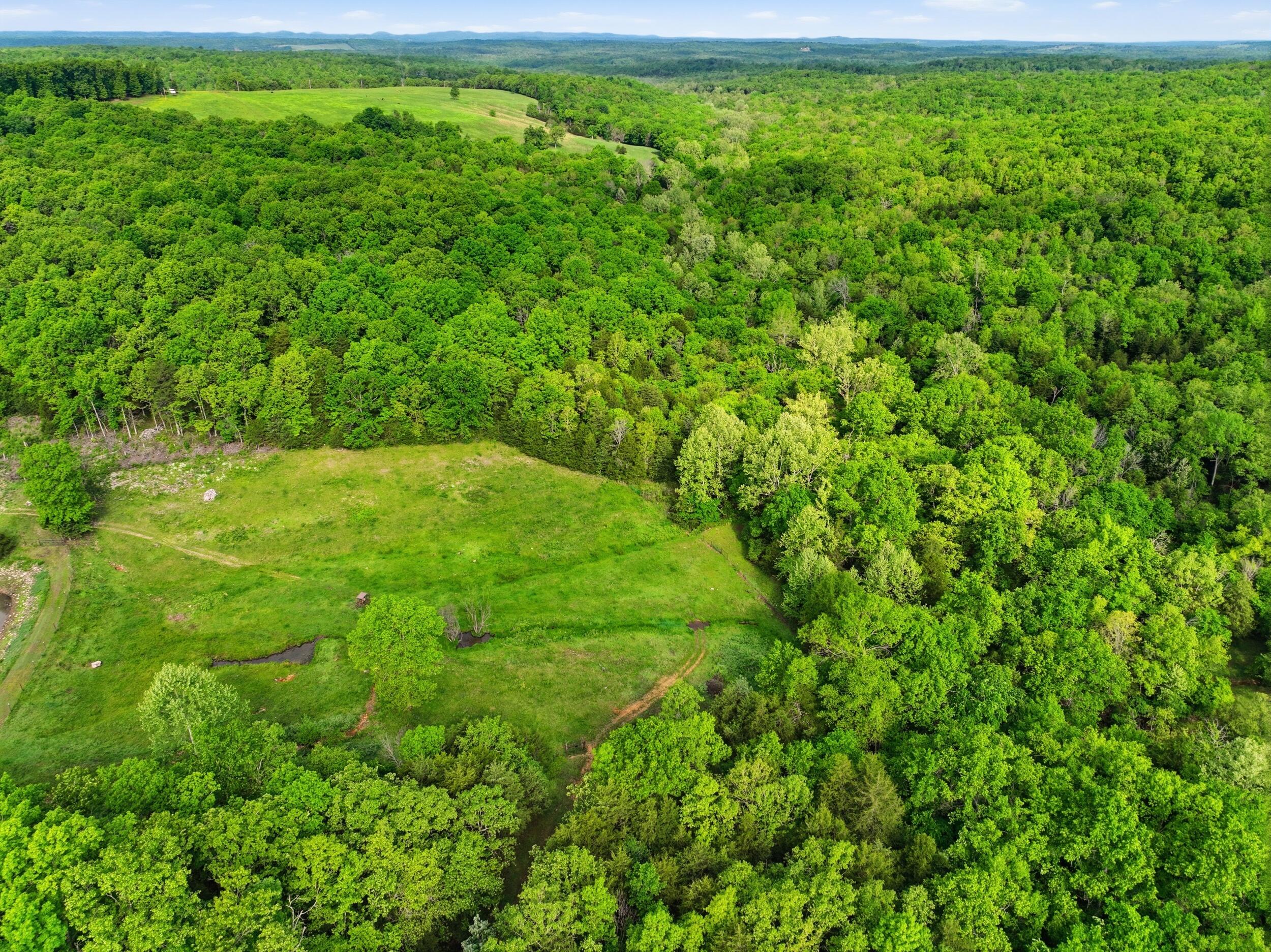 358 Co Road Caulfield, MO 65626 - Photo 49 of 74 dji_0978