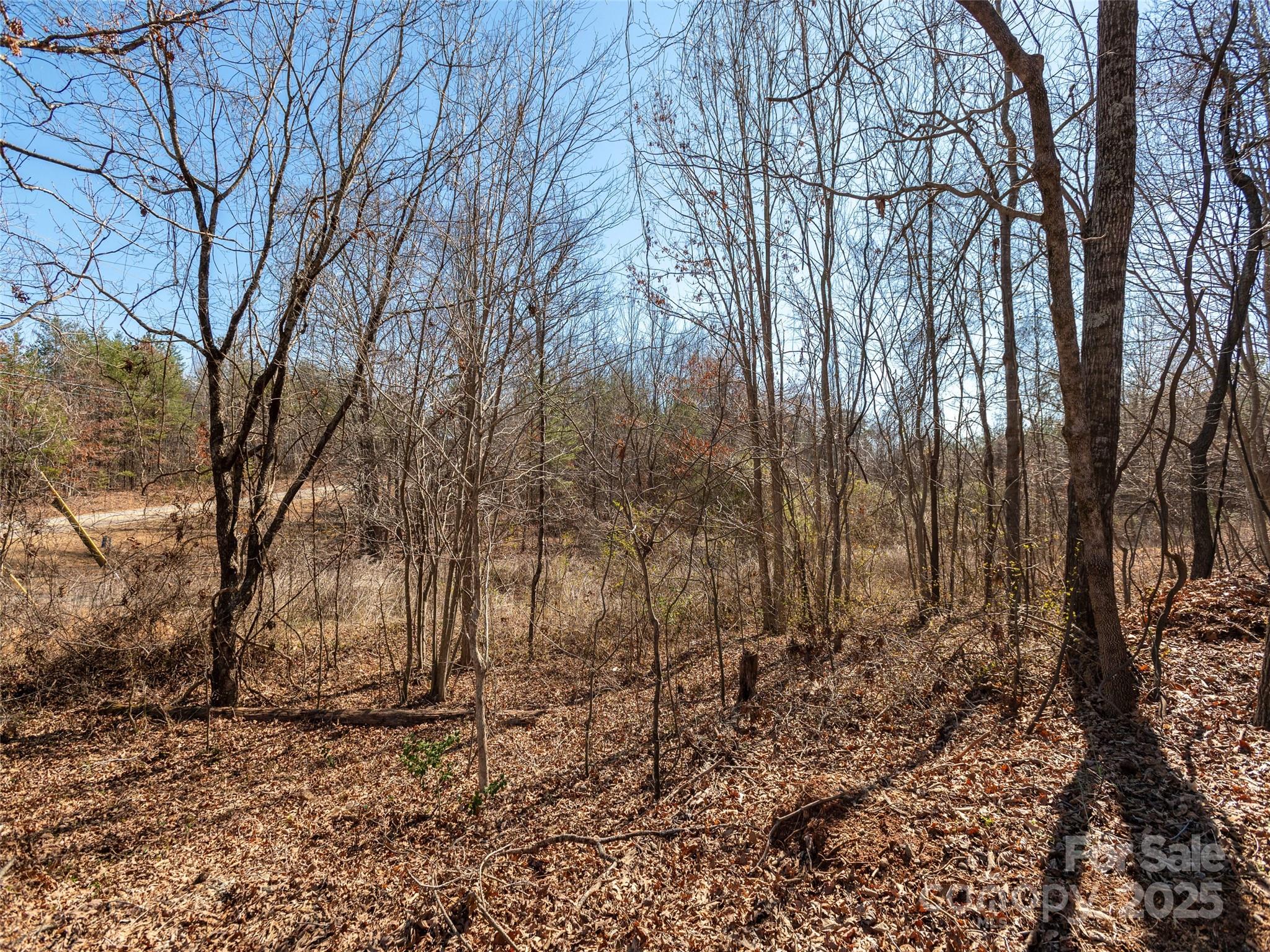 0 George Parker Drive Rutherfordton, NC 28139 - Photo 6 of 12 Gallery Image 6