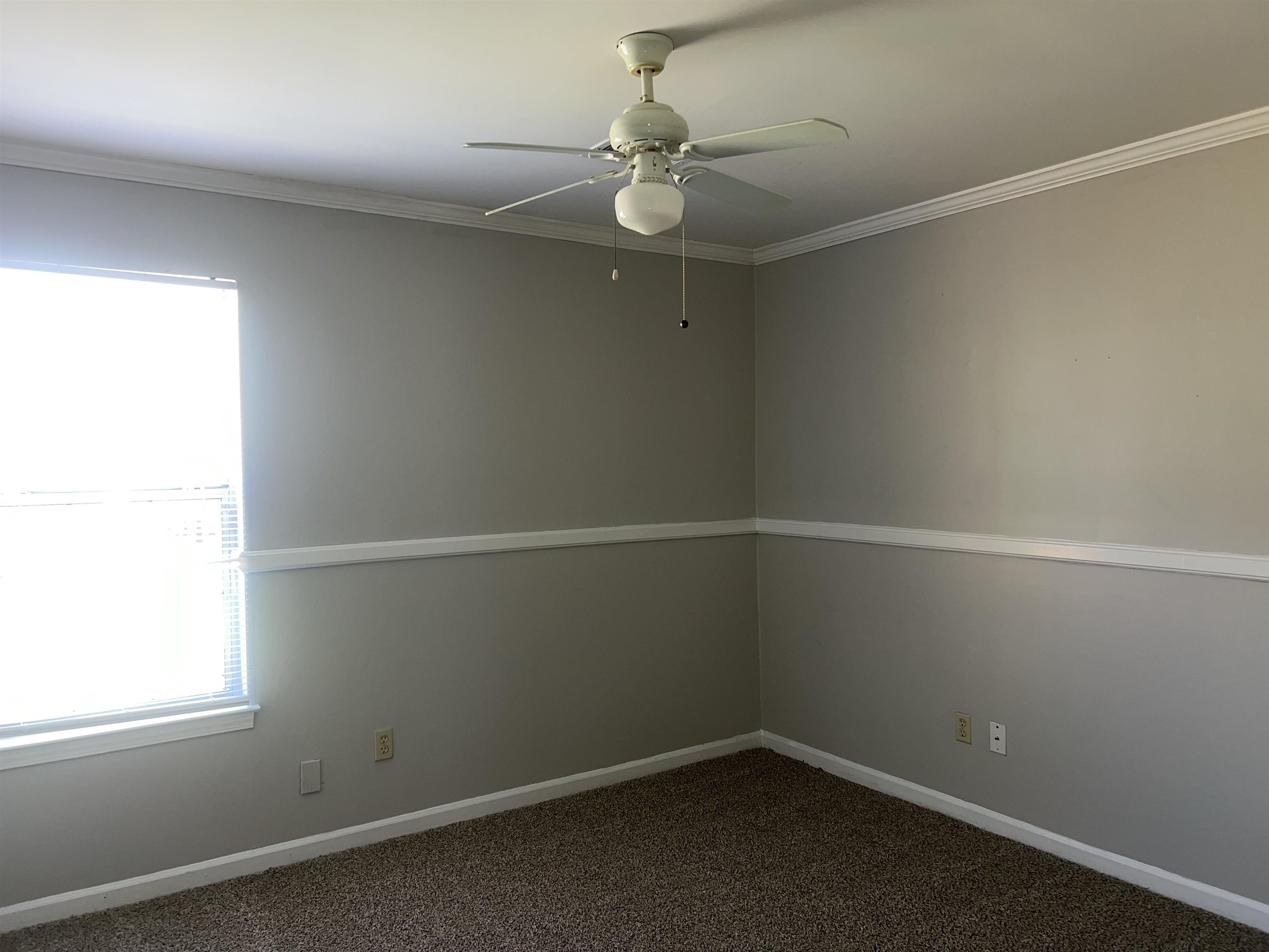 4609 Crestfield Road Millington, TN 38053 - Photo 7 of 8 Carpeted spare room featuring ceiling fan and crown molding