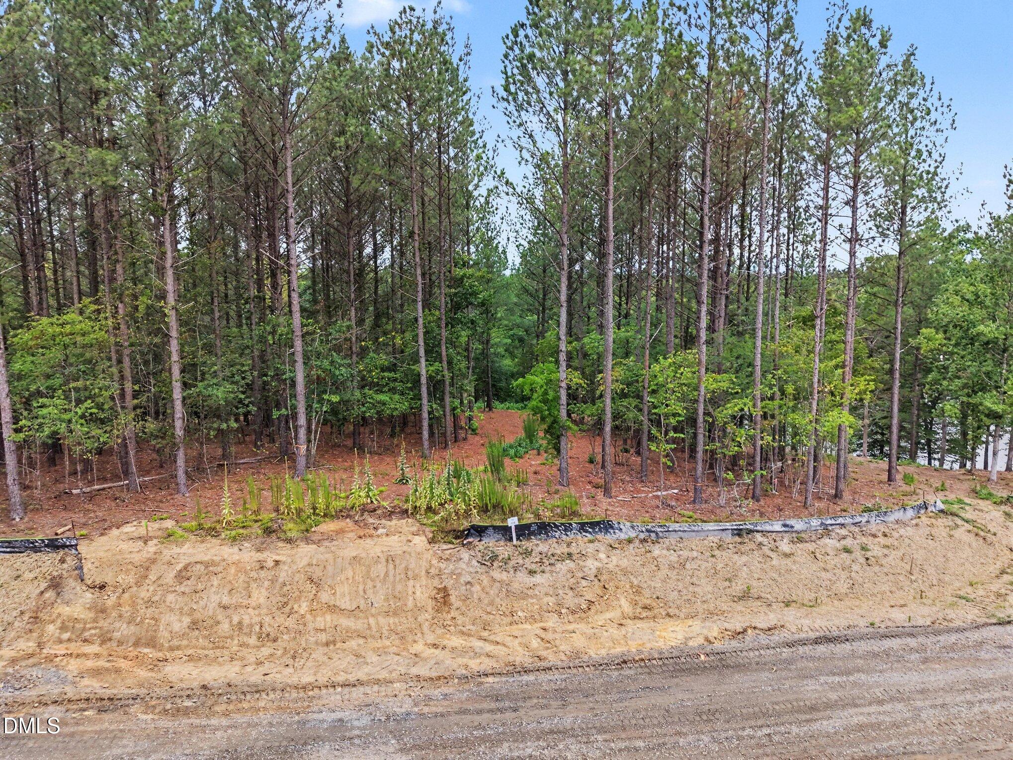 116 Windsail Point Semora, NC 27343 - Photo 17 of 19 006_aerial-1_516