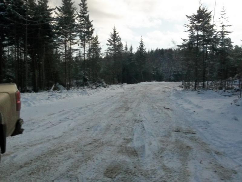 14 Lake Road Perry, ME 04667 - Photo 3 of 4 100_9100