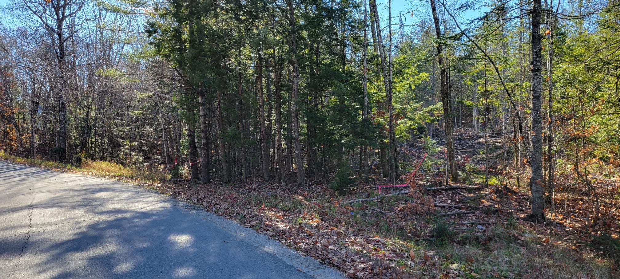 25-22 Back Troy Road Troy, ME 04987 - Photo 33 of 43 Reynolds Road Thorndike