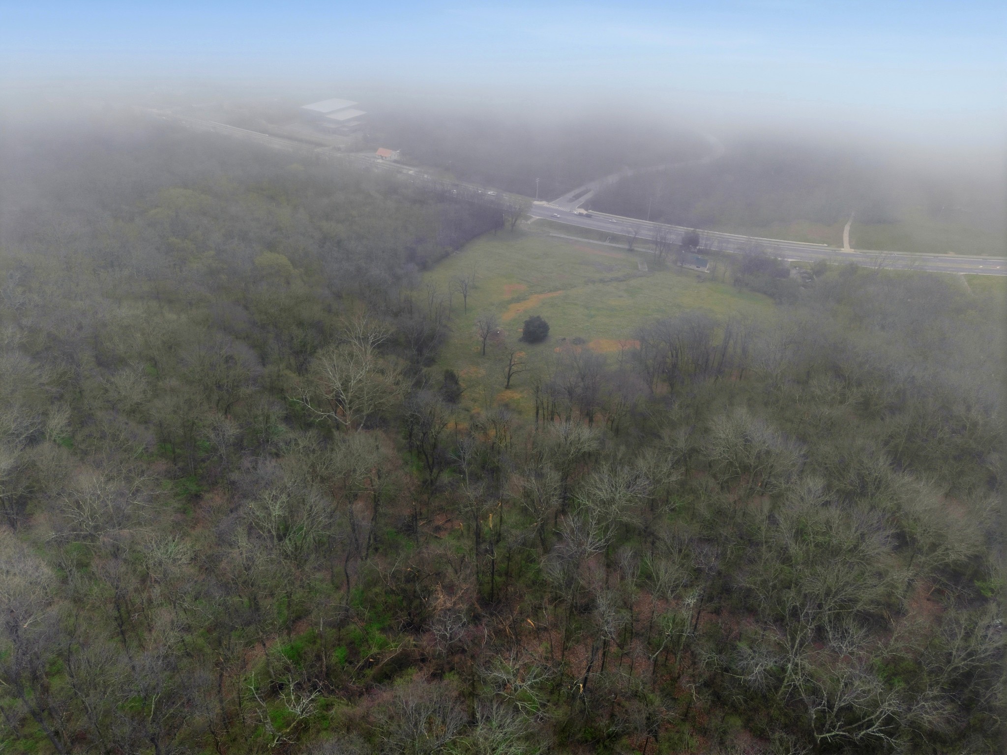 1447 Franklin Road Brentwood, TN 37027 - Photo 20 of 27 a view of a field of an tree