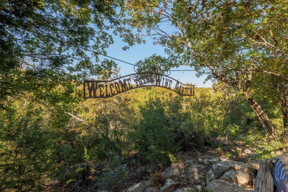 306 Tavish Trail Austin, TX 78738 - Photo 13 of 40 a view of a yard with plants and large trees