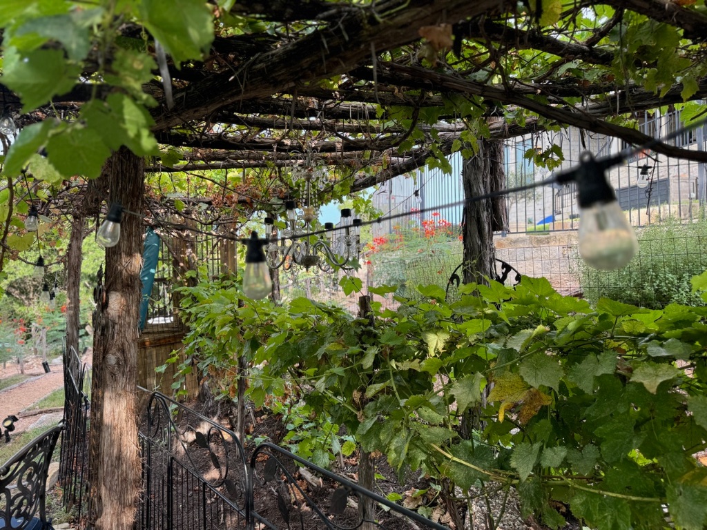 306 Tavish Trail Austin, TX 78738 - Photo 36 of 40 a backyard of a building with lots of trees