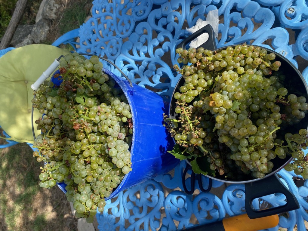 306 Tavish Trail Austin, TX 78738 - Photo 37 of 40 a view of a wooden floor