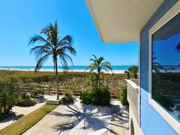 a view of a terrace with floor to ceiling windows and palm tree