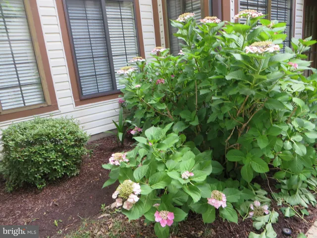 $1,850 | 6022 A Curtier Drive, Unit 6022A, Alexandria, VA 22310