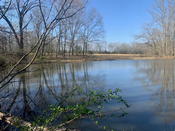 $250,000 | 0 57th Highway East, Michie, TN 38357