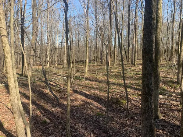 $250,000 | 0 57th Highway East, Michie, TN 38357