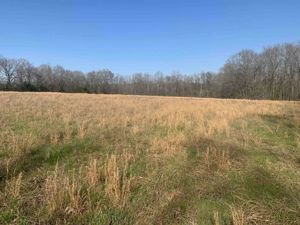 $250,000 | 0 57th Highway East, Michie, TN 38357