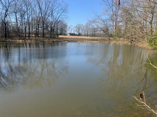 $250,000 | 0 57th Highway East, Michie, TN 38357
