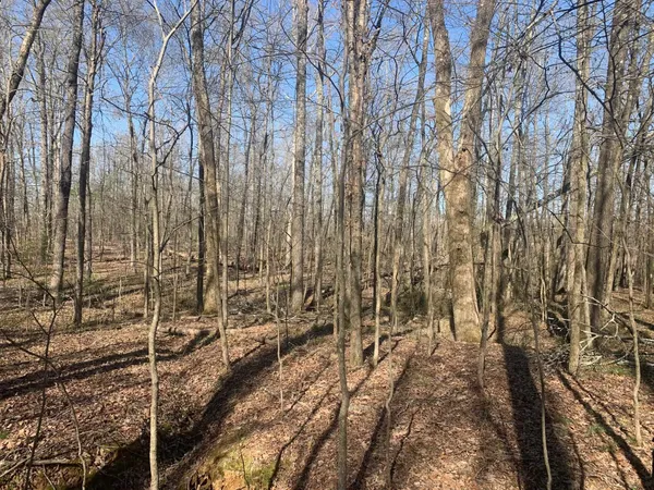 $250,000 | 0 57th Highway East, Michie, TN 38357