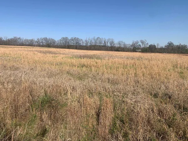 $250,000 | 0 57th Highway East, Michie, TN 38357